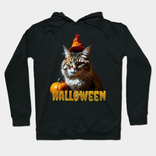 Halloween’s cat Hoodie